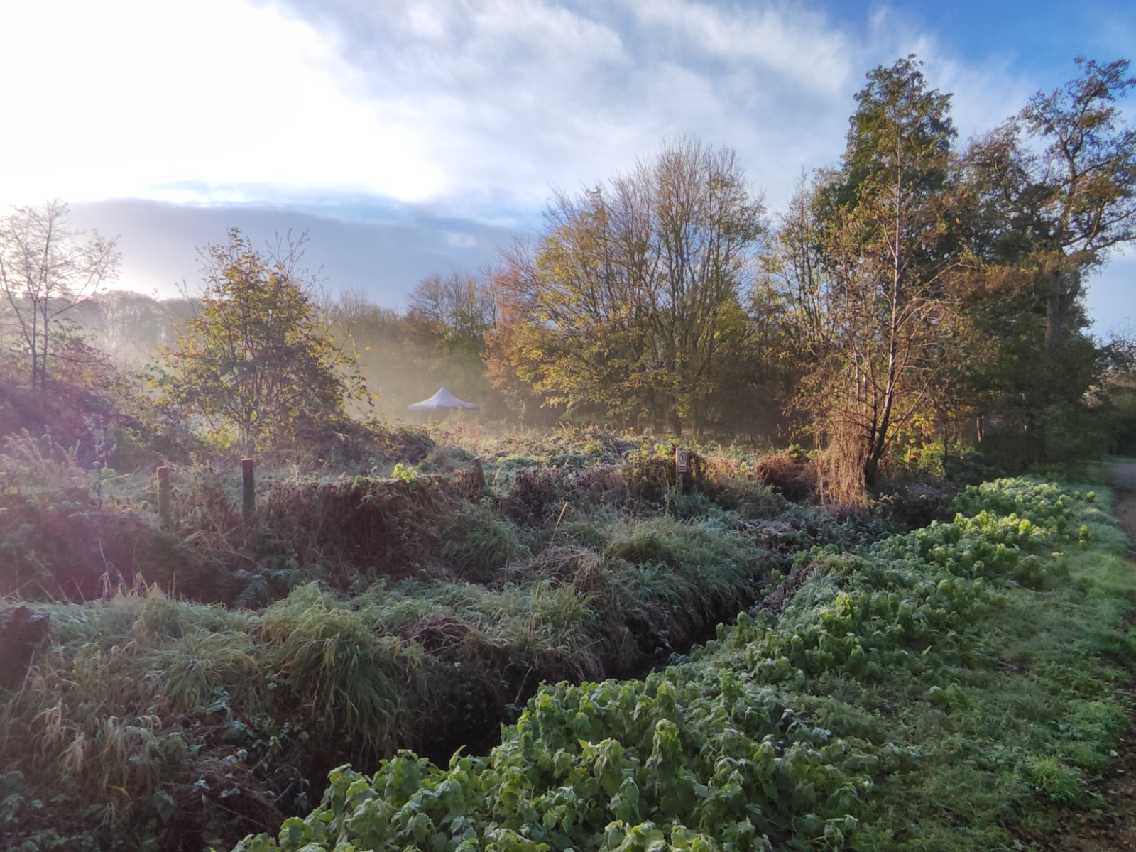 Improver Paddlesport Week - image 2