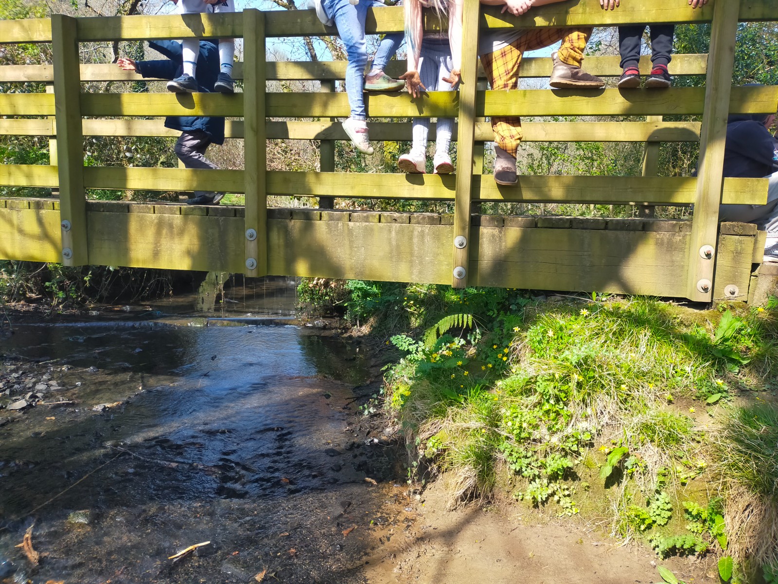 February Half Term HAF Club - image 18