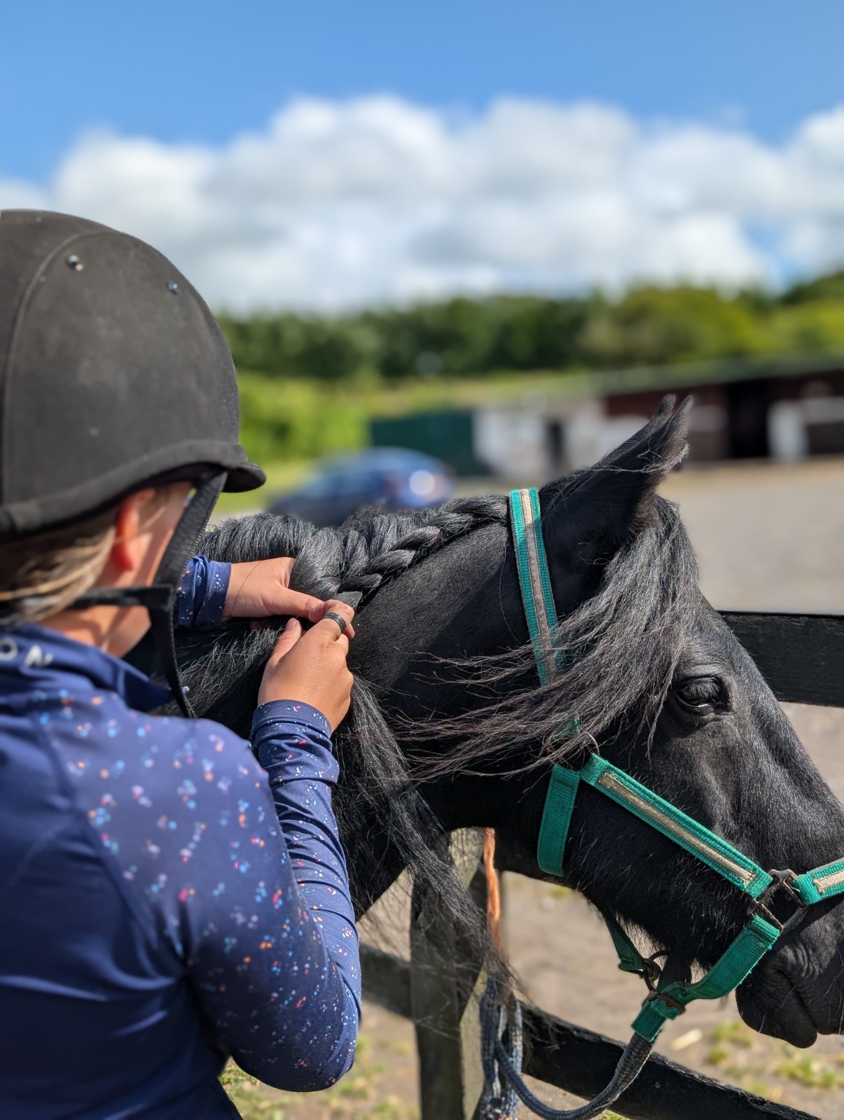 Equine Wellbeing & Activity -Harness Change - image 3