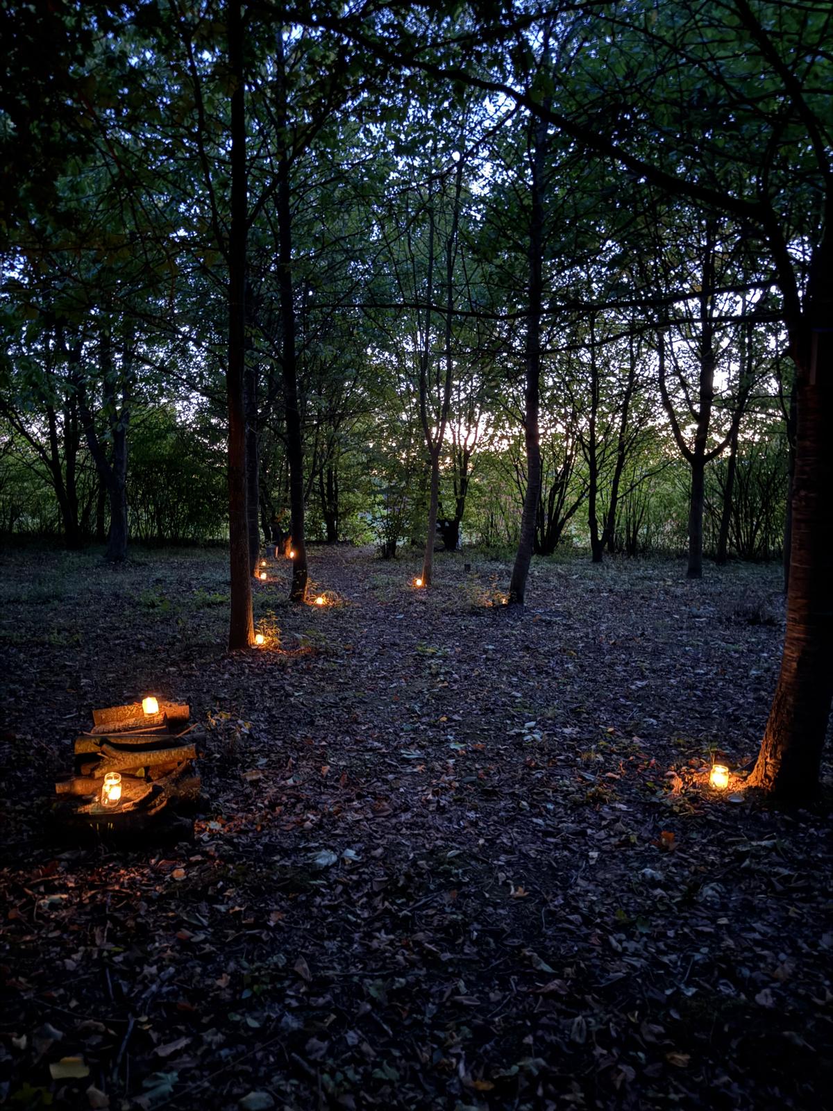 Thornham Walks Forest Bathing - image 14