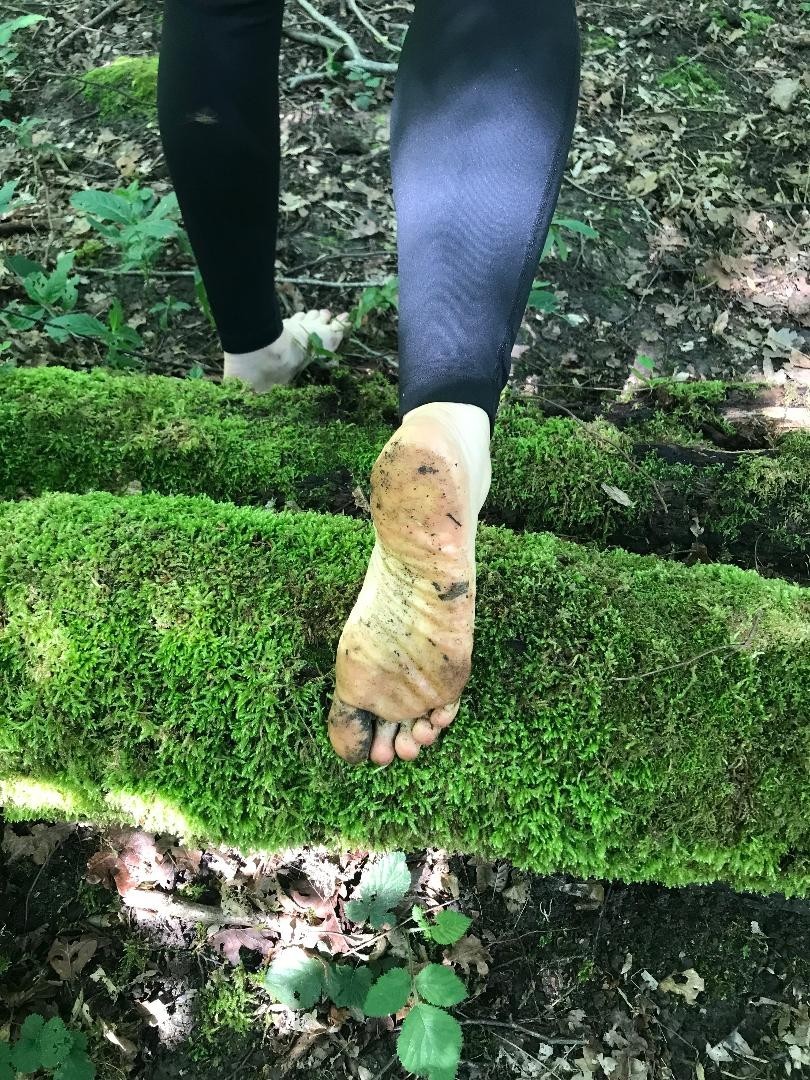 Thornham Walks Forest Bathing - image 5