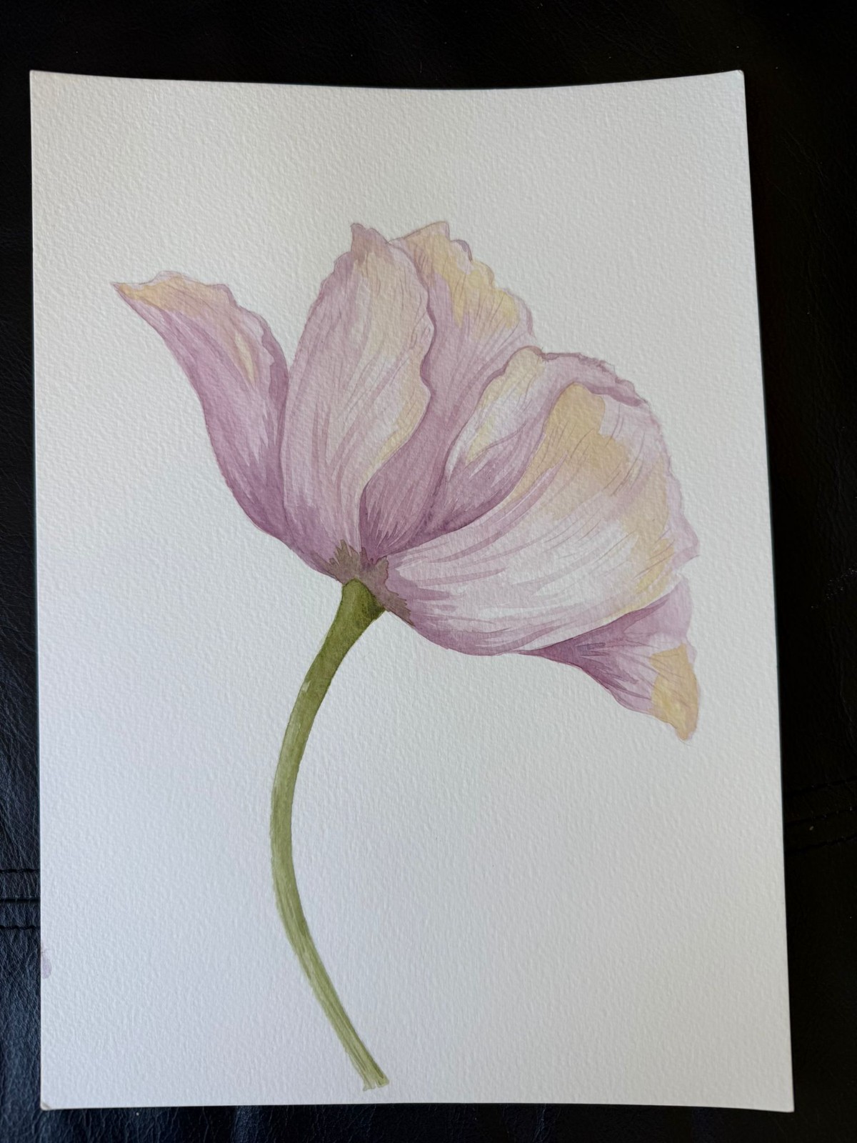 Introduction to watercolour with Claire - image 3