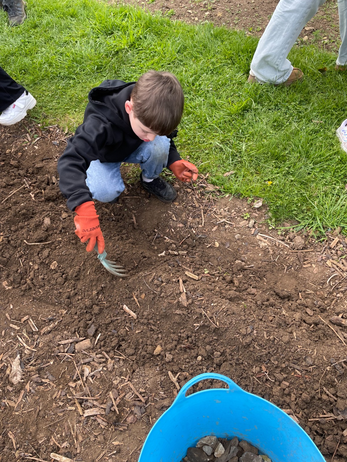 Nature Explorers - image 3