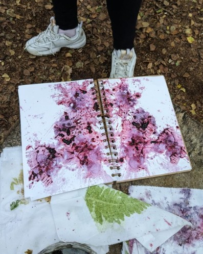 Forest Wellbeing - image 7