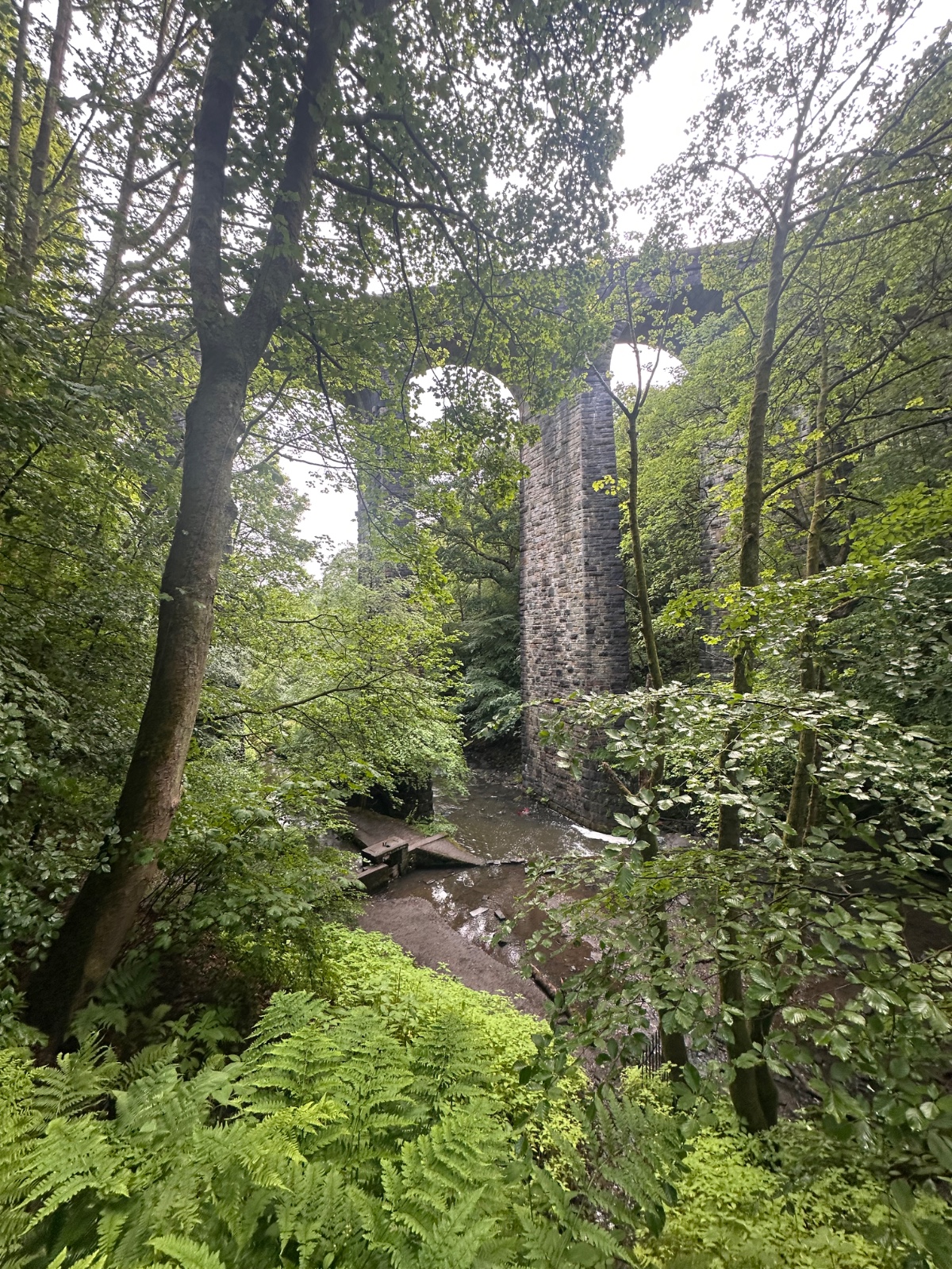 Healey Dell - image 2